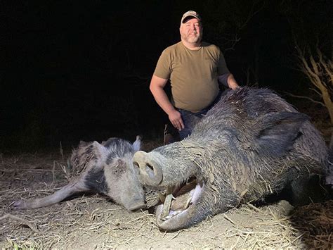 cheapest hog hunts in oklahoma